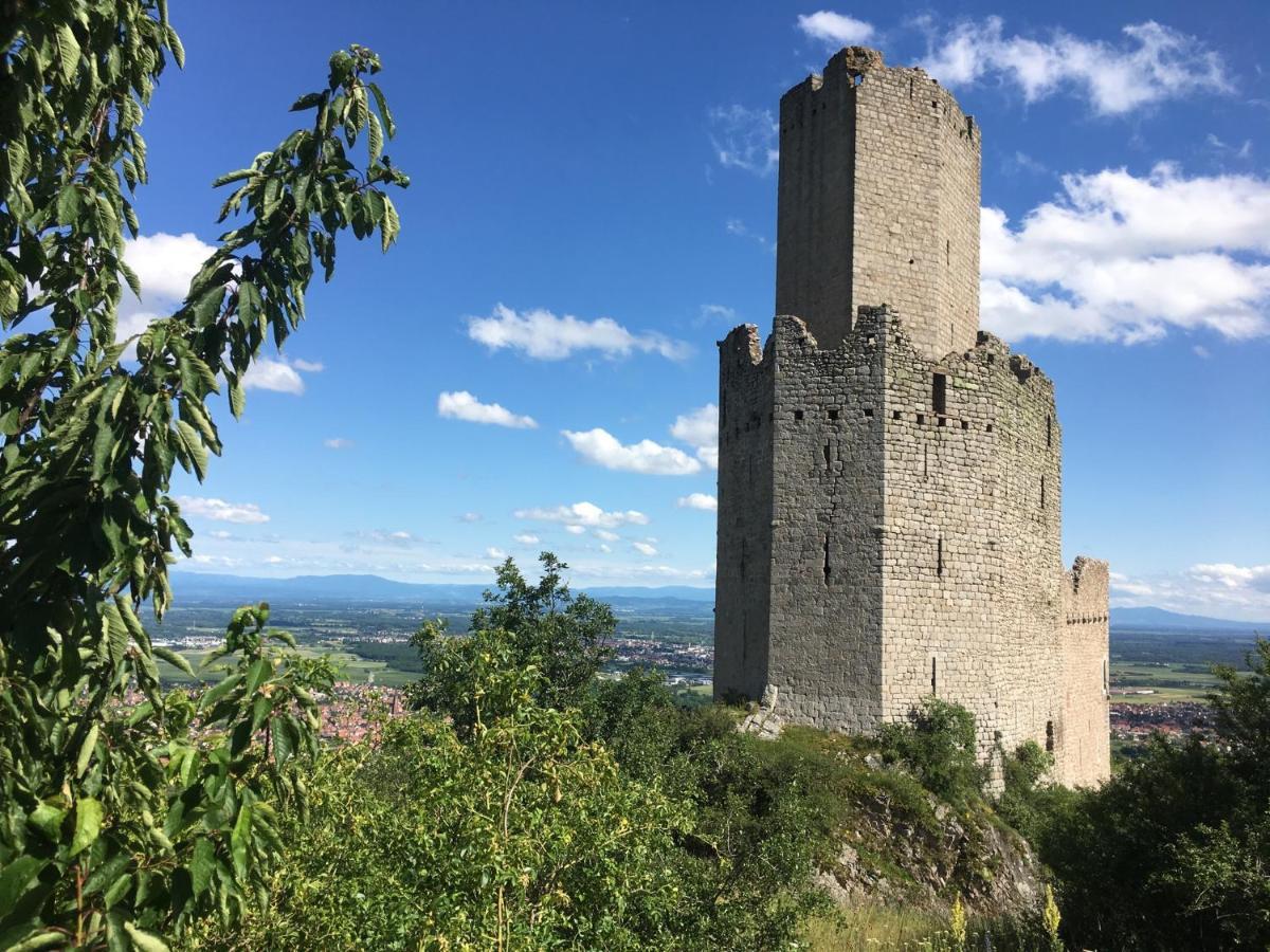 Apartamento Au Nid de Cigogne Zellenberg Exterior foto