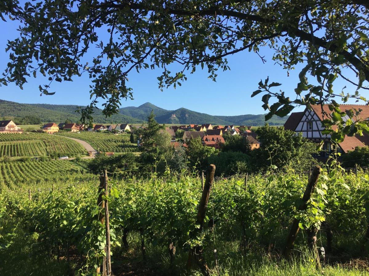Apartamento Au Nid de Cigogne Zellenberg Exterior foto