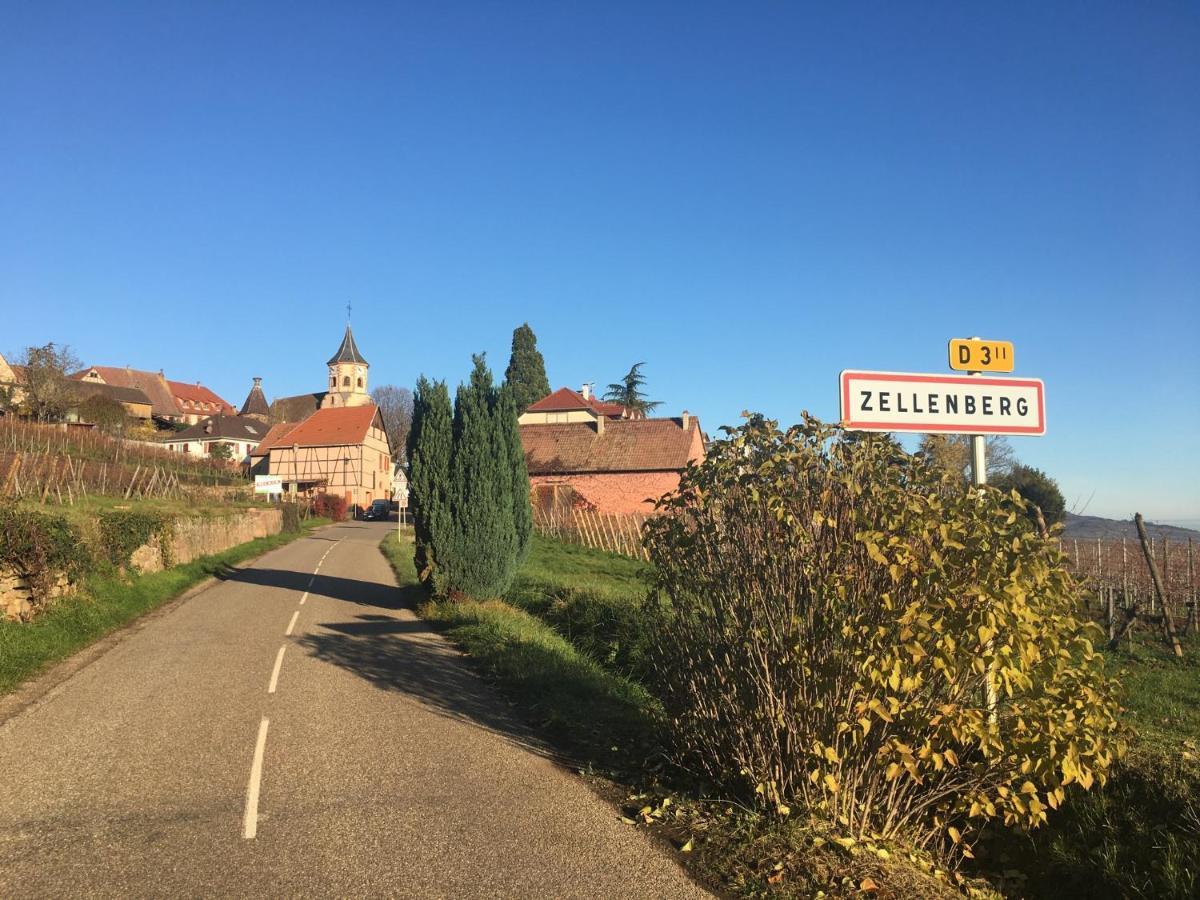 Apartamento Au Nid de Cigogne Zellenberg Exterior foto