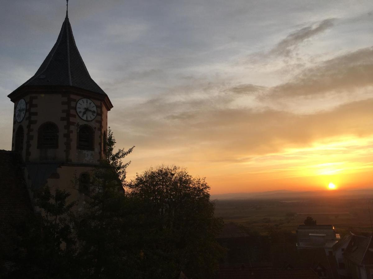 Apartamento Au Nid de Cigogne Zellenberg Exterior foto